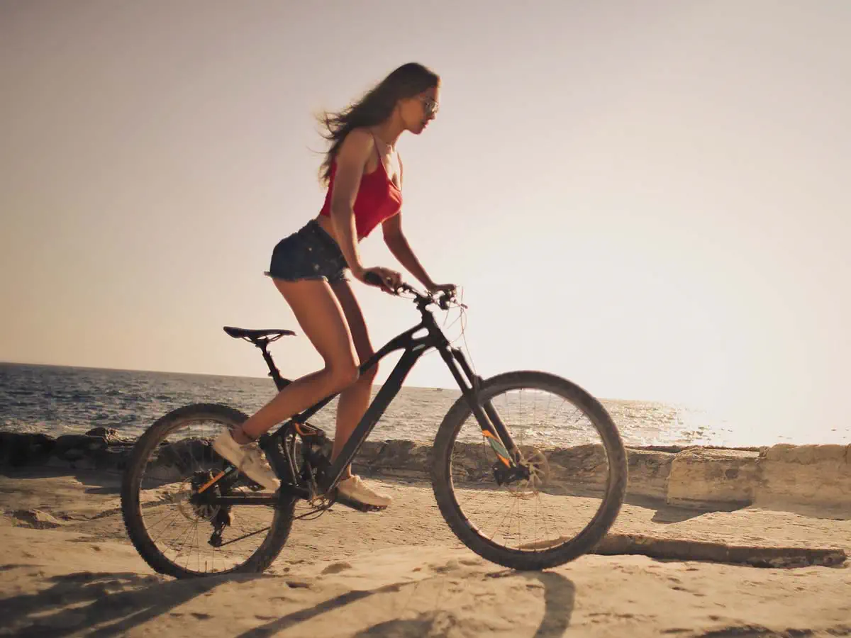 Fames phasellus sodales habitant